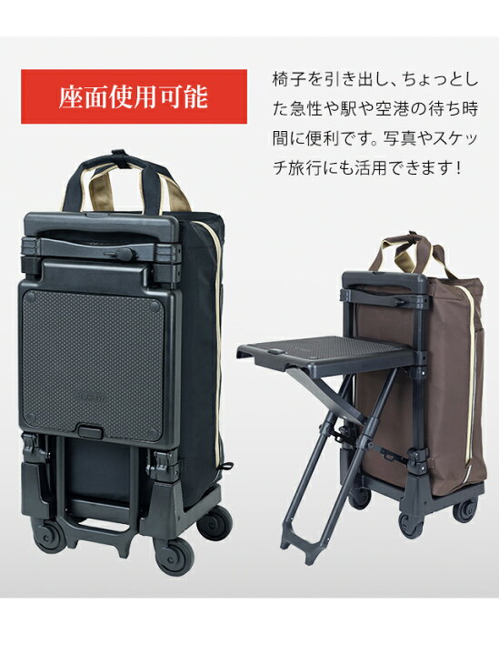 楽天市場】スワニー SWANY ショッピングカート キャリーカート 買い物 