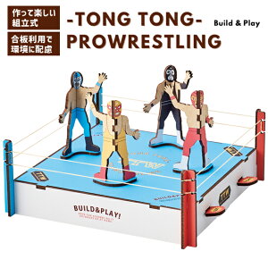 ggXO Q[ g ؐ AiOQ[ EbhpYQ[Y {^A  V qǂ l ^ CeA v[g  Build&Play ZgNtg W24-0052 1