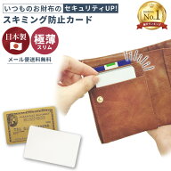 ＼楽天1位／【メール便送料無料】GPT スキミング防止 カード クレジットカード サイズ RFID 日本製 海外…