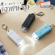 ＼楽天1位／ミニライト キーホルダー 非常用 コンパクトライト 緊急連絡カード付き 小型 コンパクト LED …