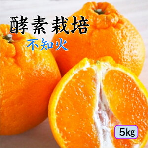 【2月上旬予約商品】【酵素栽培】酵素 不知火5kg【産地直送】デコポン 同品種 特別栽培 完熟 果物 フルーツ 広島 瀬戸田 みかん グリグリーン農園 訳あり 特別栽培 減農薬 防腐剤不使用 ノー