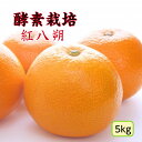 【農家直送順次配送】【酵素栽培】紅八朔5kg【国産】【産地直送】特別栽培 完熟 果物 フルーツ 広島 瀬戸田 みかん グ…