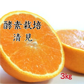 【3月中旬予約商品】【酵素栽培】清美 オレンジ 3kg【産地直送】果物 完熟 みかん フルーツ デザート 広島県 瀬戸田産 グリグリーン農園 訳あり 防腐剤不使用 ノーワックス AB級品混合