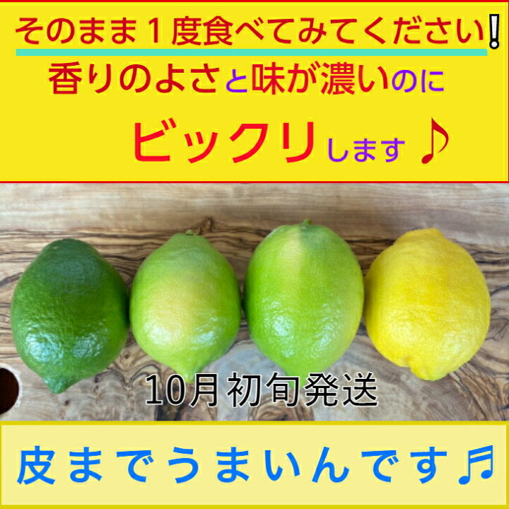 ファクトリーアウトレット 国産瀬戸田レモン農薬不使用1