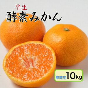 y11{\izyyf͔|z ݂ ƒp 10kgyYzyYnzL ˓c t[c k OO[_ ʍ͔| 󂠂 hܕsgp m[bNX ABi