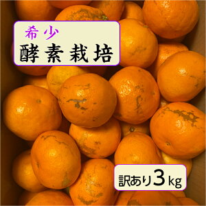 【12月予約品】【酵素栽培】 石地 みかん 傷 訳あり 3kg 【国産】 【産地直送】 果物 フルーツ 特別栽培 広島 瀬戸田 柑橘 訳あり 甘い 濃厚 完熟 減農薬 防腐剤不使用 ノーワックス