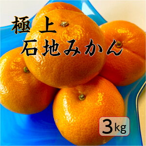 【12月25日予約品】【酵素特別栽培】 石地 みかん 極上 3kg 果物 フルーツ 広島 瀬戸田 柑橘 甘い 濃厚 完熟 減農薬 防腐剤不使用 ノーワックス