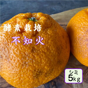 y2{\񏤕izyyf͔|zyf sm5kgyYnzfR| i ʍ͔| n ʕ t[c L ˓c ݂ OO[_ 󂠂 ʍ͔| _ hܕsgp m[