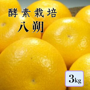 y1{\񏤕izyyf͔|z3kgyYzyYnzʍ͔| n ʕ t[c L ˓c OO[_ 󂠂 _ hܕsgp m[bNX ƒp ABi