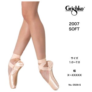OVR2007 grishko2007 \tg gDV[Y OVR oG Te XEF[hU[ gEV[Y oGV[Y qp lp o[i ߑ oG\ oGpi ballet
