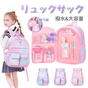 bNTbN bN LbY ̎q bN fB[X w wN wN h  }U[YbN iCbN  킢 ʋ ʊw y obO fB[X J