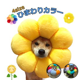 エリザベスカラー 猫 犬 ソフト ペット用品 ポンデリング カラフル しゃれ かわいい 写真