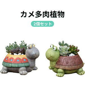 2個セット 亀可愛い 動物 植木鉢 プランターデザイン小物 フラワーポット しゃれ 多肉植物鉢 サボテン鉢 寄せ植え 鉢 (亀) 庭飾りミニ亀盆栽工芸品飾り