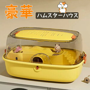 nX^[pP[W ybgpP[W  傫 P[W AN nEX nX^[pnEX  nX^[ P[W nX^[P[W  P[W AN ybg P[W 