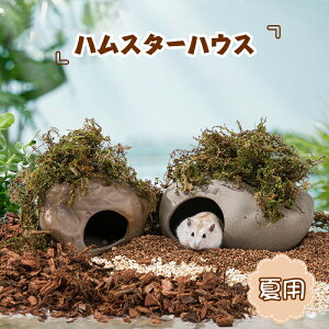 nX^[nEX nEX  Q B ~` nX^[p ėp nX^[ đ΍ nEX ւ  B CeA  􂦂  nX^[ ʔ   킢 v