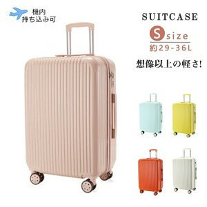 X[cP[X @ y L[P[X  ^ STCY 5F  inslC s΂ 1Nۏ 