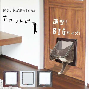 ybghA LbghA ^ LTCY ybghA tyS3Fz4WAY JbN@\ L ^pɁI oɃhA~߂鎥Γ