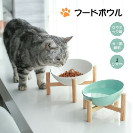 フードボウル ペットボウル ペット用 食器 猫 犬 ペット フード 斜め 傾斜 磁器 食べやすい 餌 エサ エサ入れ エサいれ 皿 お皿 丸い セラミック 小型犬 かわいい おしゃれ
