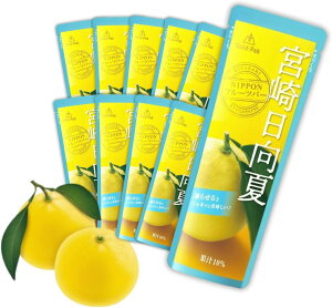 S[hpbN 点Ă t[cW[X Yʏ`  10{   Mtg A\[g