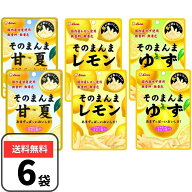 ライオン菓子 そのまんまシリーズ 全3種 6袋【そのまんまレモン そのまんま甘夏 そのまんまゆず】各2袋 …