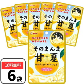 そのまんま 甘夏 6袋 ライオン菓子 セット ドライフルーツ