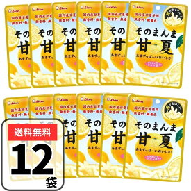 そのまんま 甘夏 12袋 ライオン菓子 あまなつ みかん セット ドライフルーツ