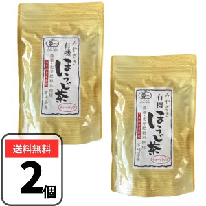 {蒃[ L@ق eB[obO (5g×18p)×2܃Zbg L@