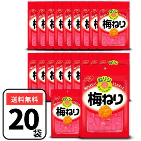 ノーベル ねりり 梅ねり 20g×20個 小袋 まとめ買い 大容量 梅練り
