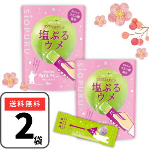 ՂE 䑺 vbV[[ 2܁i15g 6{×2j NG_ [[ ⋋ v~ ~[[