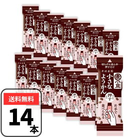 井村屋 片手で食べられる小さなようかん 小豆 15g×14本 アズキ 煮小豆 羊羹 ヨウカン ようかん 小さなようかん 個包装 業務用