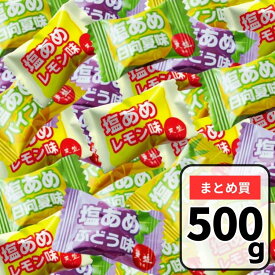 赤穂化成 天塩の塩あめ 塩飴 4種（レモン味、日向夏味、ぶどう味、パイン味）約500g 赤穂の天塩 塩キャンディ 塩分補給 お試しパック アソート 熱中飴 熱中症 対策