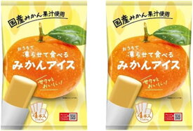 おうちで凍らせて食べるアイス みかん アイス 2袋（8本入）ミカン みかんアイス シャーベット 常温 果汁 谷尾食糧