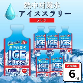 赤穂化成 熱中対策水 アイススラリー ライチ 90g×6個 凍らせて 飲む 飲料 塩分補給 熱中症対策