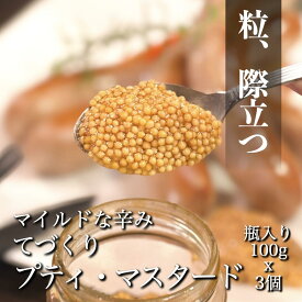 プチプチ食感！ てづくり プティ・マスタード 100g × 3本セット 粒マスタード イエローマスタード 自家製 調味料 サンドイッチ ホットドッグ ハンバーガー グルメ ギフト 贈り物 プレゼント お中元 お歳暮 肉 肉料理 おいしい お取り寄せ お土産