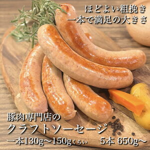 قǂ悢e҂u Ntg \[Z[W v5{`Zbg ( 1{ 130g ) TCY  \[Z[W Y؎gp