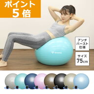 【17日23:59までポイント5倍+LINE200円OFFクーポン】GronG(グロング) バランスボール 75cm 耐荷重200kg …