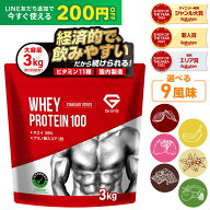 【LINE200円OFFクーポン×15日〜ポイント5倍】グロング プロテイン ホエイプロテイン 3kg スタンダード …