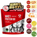【14日10時〜ポイント5倍】グロング プロテイン ホエイプロテイン 3kg スタンダード 風味付き ナチュラル ビタミン11種配合 GronG 置き換え ダイエット タンパク質 サプリメント アミノ酸スコア100 美味しい 送料無料 ポイント