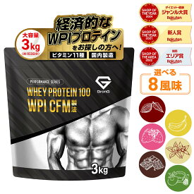 【500円クーポン/条件有】ホエイプロテイン100 WPI CFM製法 風味付き 3kg