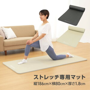 y15̓|Cg5{&500~N[|/LzGronG(OO) Xgb`}bg K}bg  18mm L 80cm 傫 g[jO}bg Ocg[i[ďC