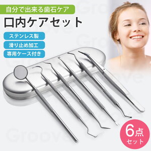 歯石取り 歯石とり 器具 歯石除去 歯石 オーラルケア 歯垢 スケーラー 自分で取る ヤニ取り デンタルミラー 歯 犬 デンタルケア デンタルスケーラー ABY-111