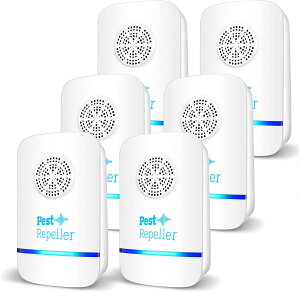 6Zbg lY~ 쏜 g lY~쏜 SLu΍  Q쏜 g  쏜 qybgɈS g Q쏜@ AGT-06