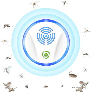 2Zbg lY~ 쏜 g lY~쏜 SLu  ΍  Q쏜 g  쏜 qybgɈS g Q쏜@ AGT-09