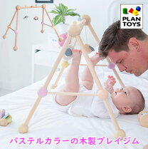 楽天市場】りんごの木プレイジムの通販