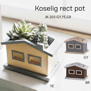 A |bg ReB Ng|bg 2×2A ꌊ 󂯎Mt T{e 񂹐A   K[fjO G  킢  nEX k