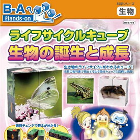 楽天市場 1年生 自由研究 キットの通販