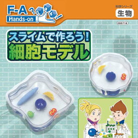 楽天市場 自由 研究 6 年生 キットの通販 楽天市場 自由 研究 6 年生 キットの通販