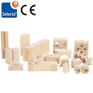 ZN^ ؂̂ mߋ ϖ BLOCKSEoGeB[ 45pcs ςݖ ؐߋ ubNX