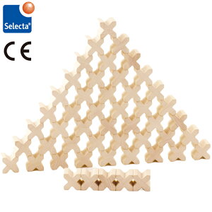 ZN^ ؂̂ mߋ ϖ GbNXubN 50pcs X-BLOCKS ςݖ ؐߋ