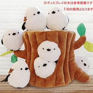 �V�}�G�i�K �ʂ������ ���킢�� ���� �쒹 �G�݁y1�H�̔̔��ł��z